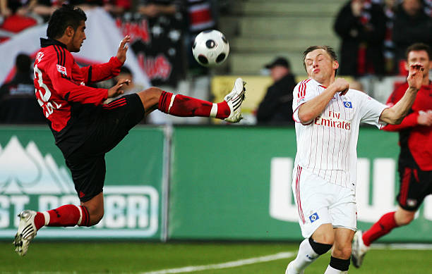 提供了必要 提供了必要